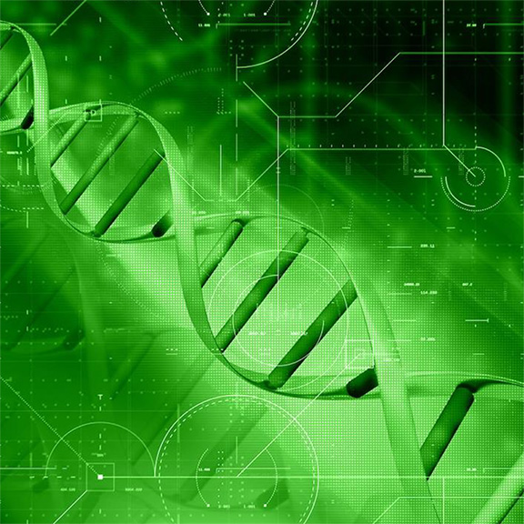 4-genetichen-test+konsultacia